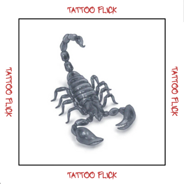 Scorpion - Temporary Tattoo