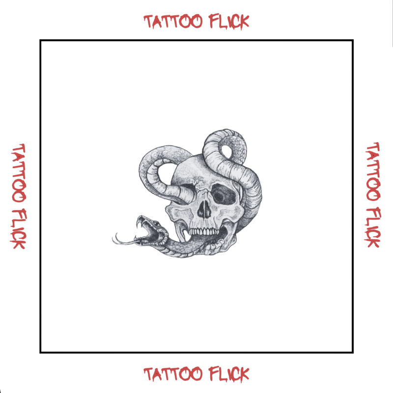 Skull with Snake - Temporary Tattoo