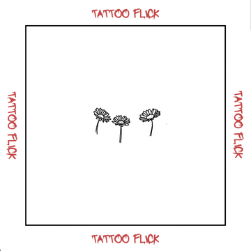 Three Daisies - Temporary Tattoo