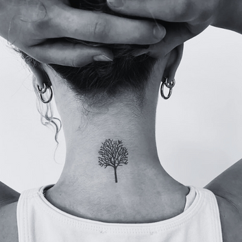 Bare Tree Wide - Temporary Tattoo