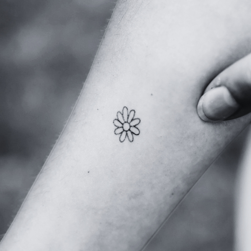 Bare Tree Wide - Temporary Tattoo