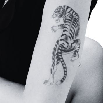 Climbing Tiger  - Temporary Tattoo